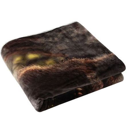 Плед ARYA HOME COLLECTION Плед с принтом 200x220 Bear Family микрофибра губки для посуды bear family