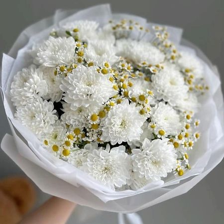 Букет живых цветов FLOWERTVER Хризантемы и ромашки одноразовая бумажная тарелка с изображением ромашки