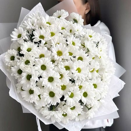 Букет живых цветов FLOWERTVER Ромашковое поле готический постер два призрака в поле