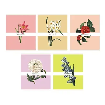 Тетрадь в линейку Listoff, 