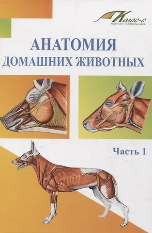Наталья Анатольевна Слесаренко, Ирина Владимировна Хрусталева, Хамидулла Балтуханович Баймишев Анатомия домашних животных. Часть 1