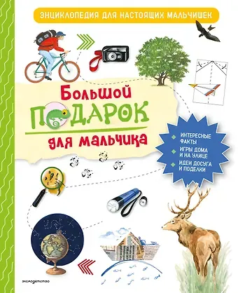 Занонцелли Анастасия Большой подарок для мальчика. Энциклопедия для настоящих мальчишек