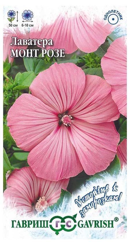 Семена Лаватера Гавриш Монт Розе, 0,5 г ганс юрген айзенк зигмунд фрейд упадок и конец психоанализа