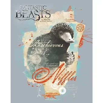 Тетрадь в клетку Hatber, 