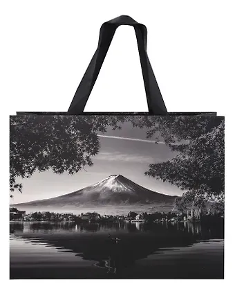 Пакет А4 28*36*11 