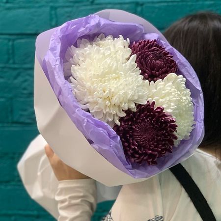 Букет живых цветов ЦВЕТЫ МИШКИ Букет 5 разноцветных хризантем ми ми мишки батончик злаковый клубника 24 гр