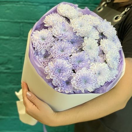 Букет живых цветов ЦВЕТЫ МИШКИ Букет из 5 лавандовых хризантем букет хризантем роз и маргариток искусственный 40 см 1 шт в ассортименте