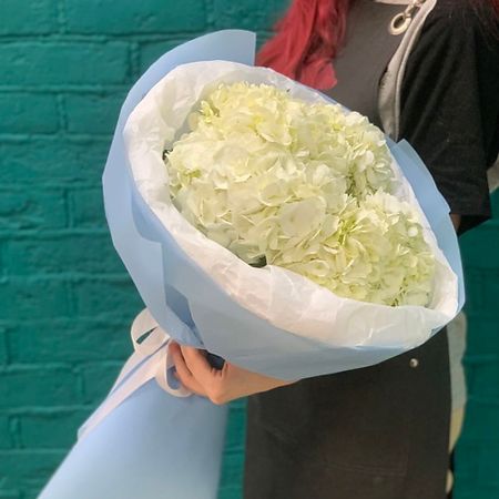 Букет живых цветов ЦВЕТЫ МИШКИ Букет из 5 белых гортензий искусственный букет гортензий из шелка