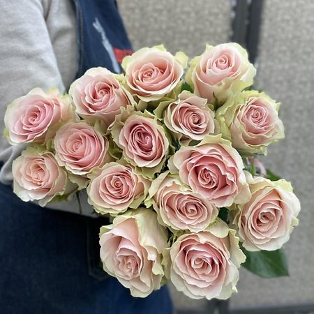 Букет живых цветов ЦВЕТЫ ДЛЯ ВАС Роза кремово розовая 15 шт