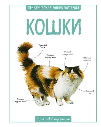 Камилла де ла Бедуайер Кошки