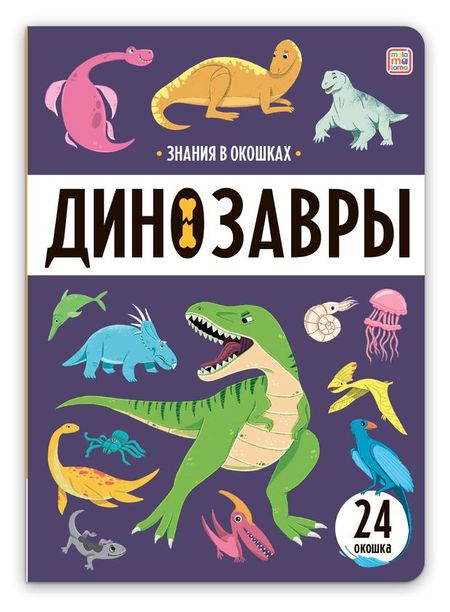 Знания в окошках