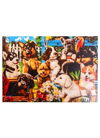Набор д/творчества Рыжий кот Палитра. Холст с красками 40х50см по номер. в кор. (20 цв.) Щенки на природе ХК-5880