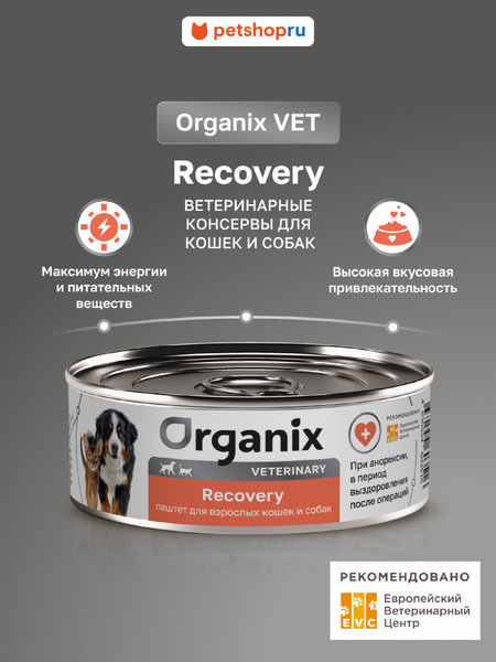 Холистики Organix vet (вет. консервы) RECOVERY влажный диетический корм для взрослых кошек и собак при анорексии, в период выздоровления и послеоперационного восстановления, 100 г (1 х 100 г)