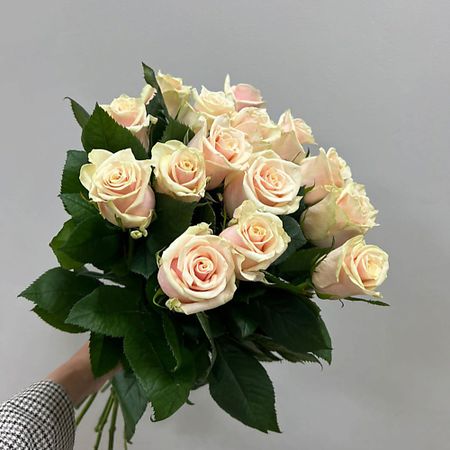 Букет живых цветов FLOR MASTER Кремовые розы жаккардовые кремовые шторы jessans для гостиной
