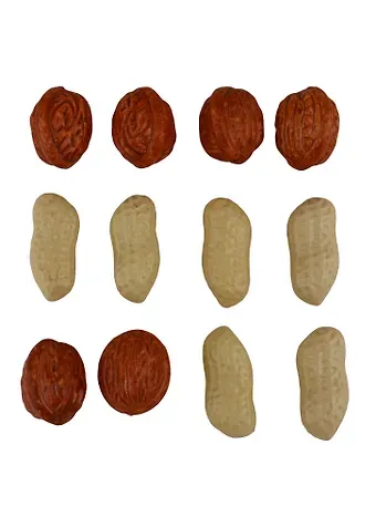 Искусственный декор Орехи грецкие и арахис в пакете с подвесом, 12 шт