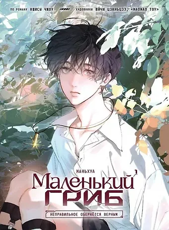 Ишисы Чжоу Маленький гриб. Том 1 (Little Mushroom). Маньхуа