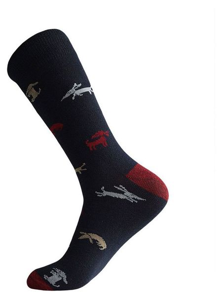 Носки мужские Лантана Таксы серые, размер 29