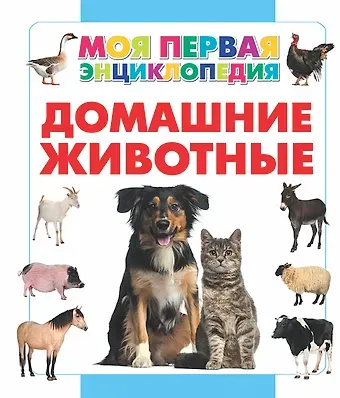 Анна Артуровна Спектор Домашние животные