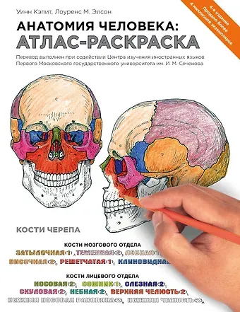 Лоренс М. Элсон Анатомия человека: атлас-раскраска. 4 -е изд.