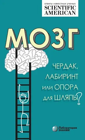 Мозг: чердак, лабиринт или опора для шляпы?