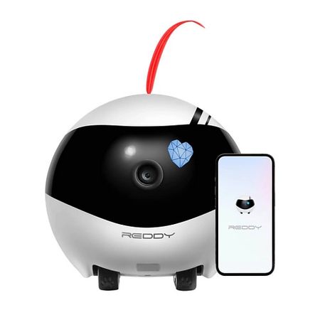 Камера RED SOLUTION Умный робот-друг REDDY Air умный keyyou для renault koleos clio keys