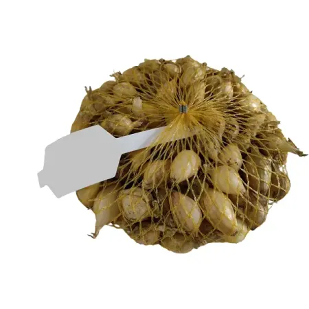 Лук-севок BEGINIA Стурон 0.5 кг