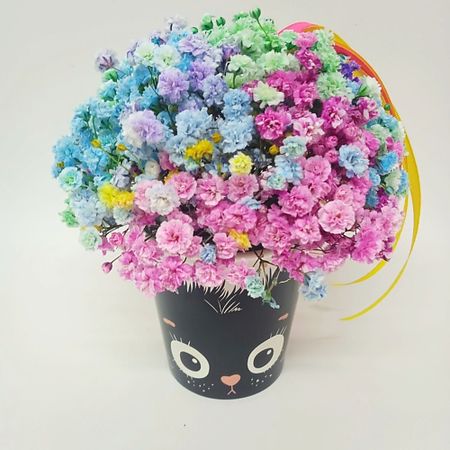 Букет живых цветов ЗЕФИРКО Радужная гипсофила в стаканчике 