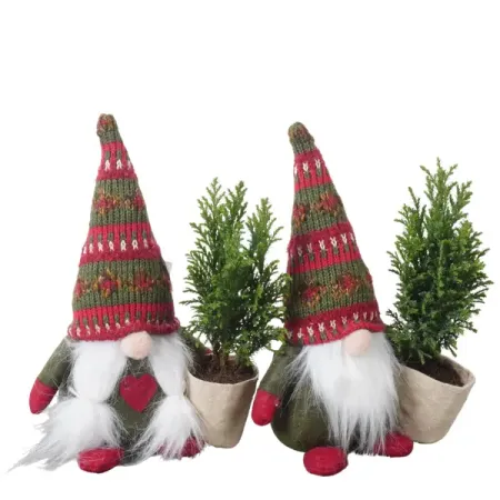 Кипарисовик Элвуда ø6 h35 см