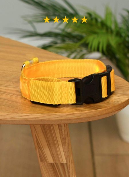 Ошейники, шлейки PETSHOP Светящийся ошейник для собак (S)