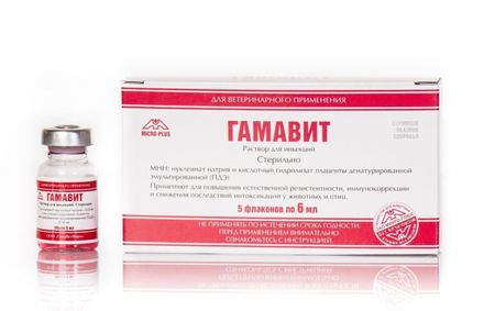 Лекарственные препараты Микро-плюс Гамавит, 5 флаконов по 6 мл, раствор для инъекций (5 х 6 мл)