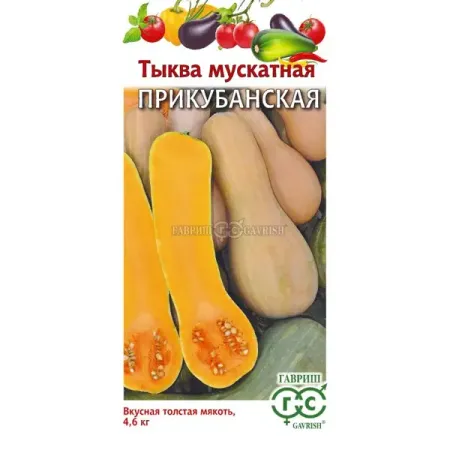 Семена овощей тыква мускатная Прикубанская