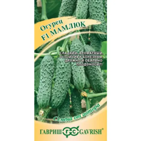 Семена овощей огурец Мамлюк 5 шт