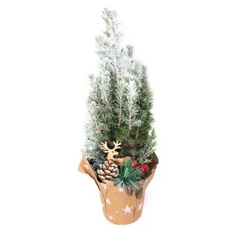 Ель 25315 ø9 h30 - 33 см михаил сергеевич горбачев м г горбачев собрание сочинений т 17 ноябрь декабрь 1989