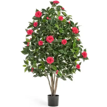 Камелия Японская ø26 h110 см сюзан нейпир от акиры до ходячего замка как японская анимация перевернула мировой кинематограф