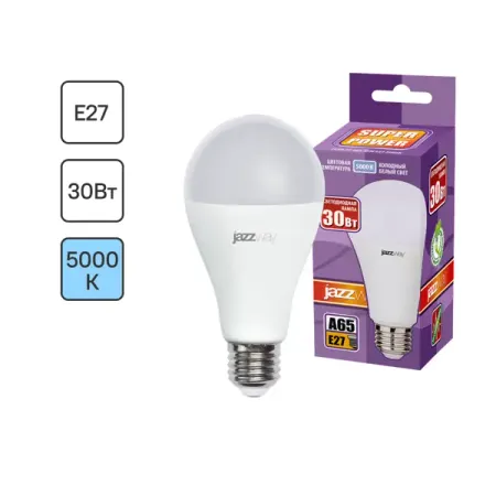 Лампочка светодиодная A65 30 Вт E27 5000 К нейтральный белый свет михаил афанасьевич булгаков мне нужно видеть свет дневники письма документы