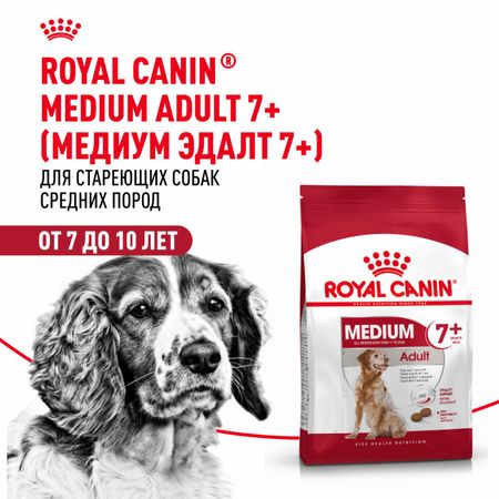 Сухие корма Royal Canin Корм сухой для взрослых собак средних размеров от 7 лет и старше, Medium Adult 7+ (15 кг)