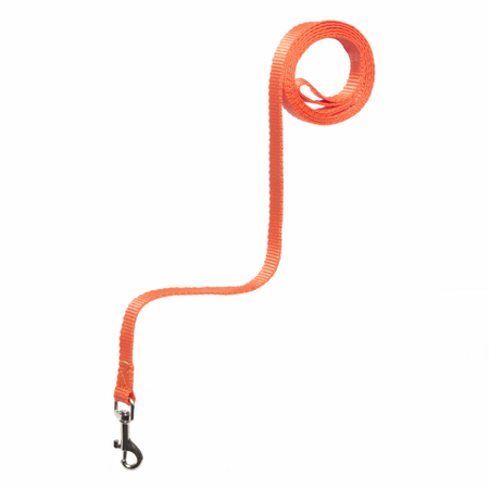 Ошейники, шлейки Yami Yami амуниция Поводок 