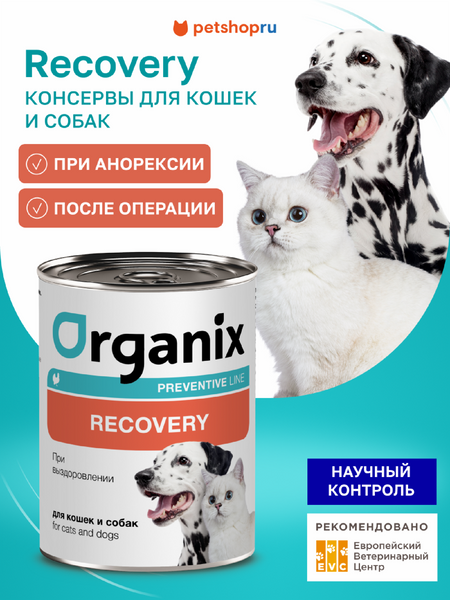 Холистики Organix prof консервы (профилактика) Набор: Recovery Консервы для кошек и собак в период анорексии, выздоровления или после операции. Влажный, ветеринарный, диетический корм, 12 шт. х 100 г (12 х 100 г)