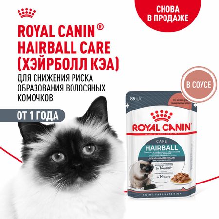 Консервы, паучи Royal Canin паучи Кусочки в соусе для вывода шерсти HAIRBALL CARE (ХЭЙРБОЛЛ КЭА), 28 шт (28 шт)