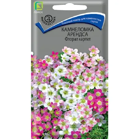Семена цветов камнеломка Арендса Флорал Карпет