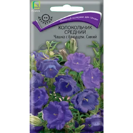 Семена цветов колокольчик Чашка с блюдцем синий