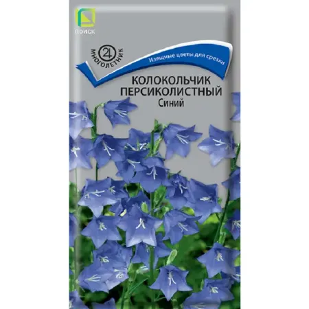 Семена цветов колокольчик персиколистный синий