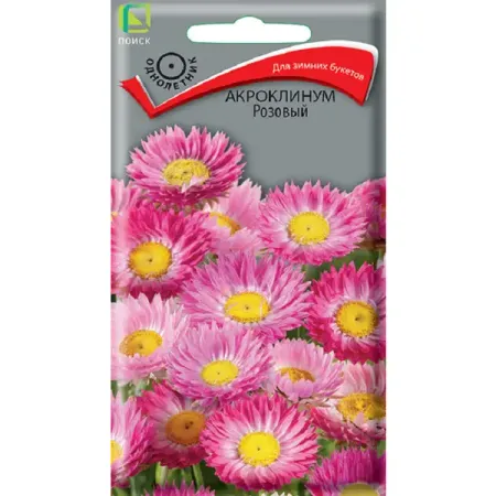Семена цветов акроклинум розовый