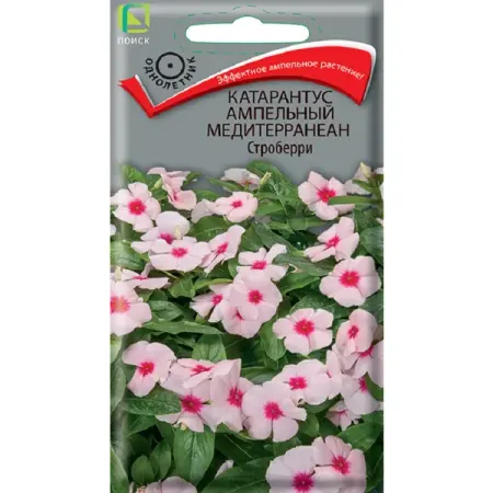 Семена цветов катарантус Медитерранеан Строберри 10 шт