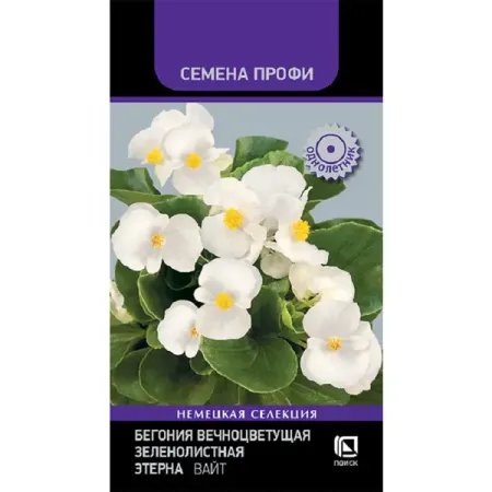 Семена цветов бегония вечноцветущая Этерна Вайт 10 шт