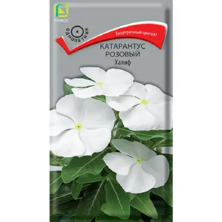 Семена цветов катарантус розовый Халиф халиф и правитель кабус наме и синдбад наме