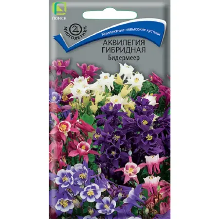 Семена цветов аквилегия гибридная Бидермейер