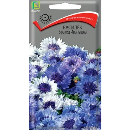 Семена цветов василек Братец Иванушка