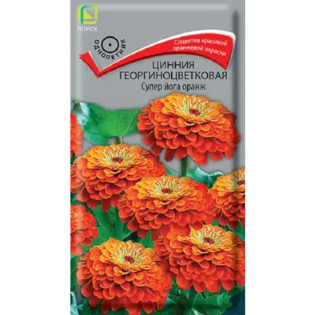 Семена цветов цинния георгиноцветковая Супер Йога Оранж