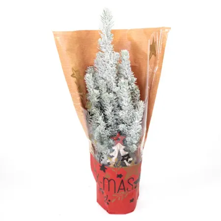 Ель 25306 ø9 h30 - 33 см михаил сергеевич горбачев м г горбачев собрание сочинений т 17 ноябрь декабрь 1989